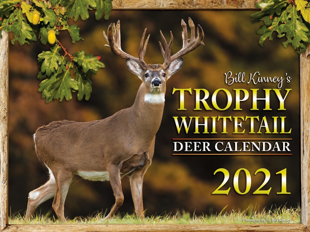 2021 Calendar, it's a beaut!